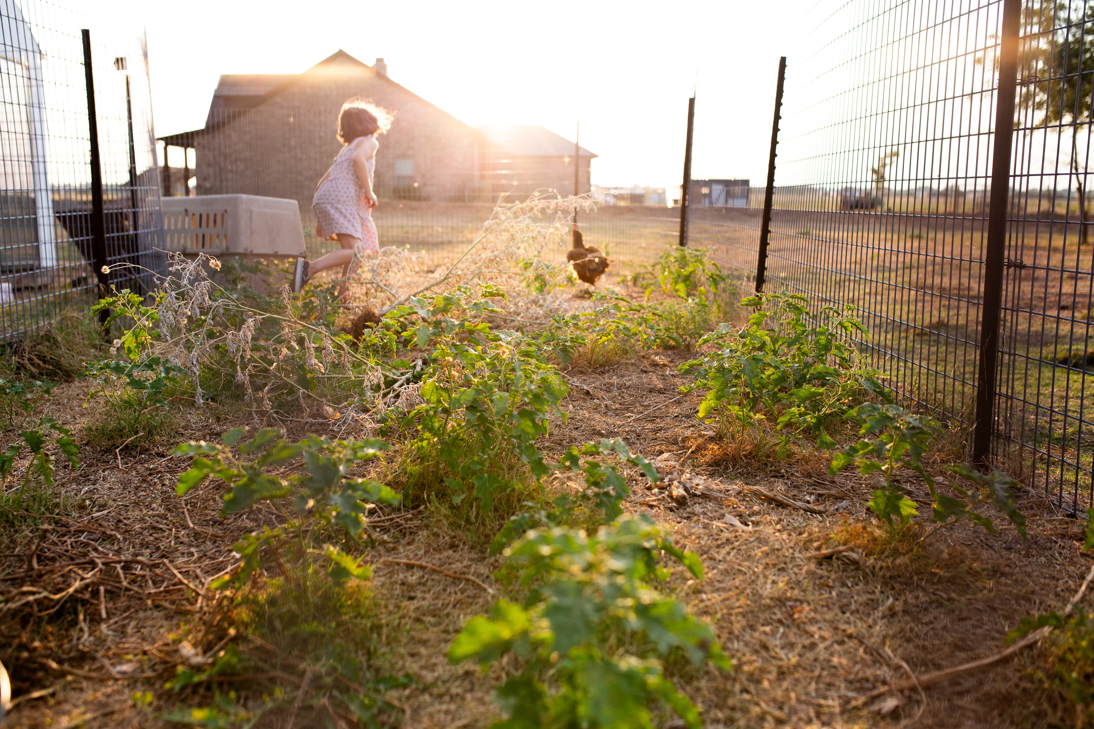 Agriculture photography by Faith Lauren