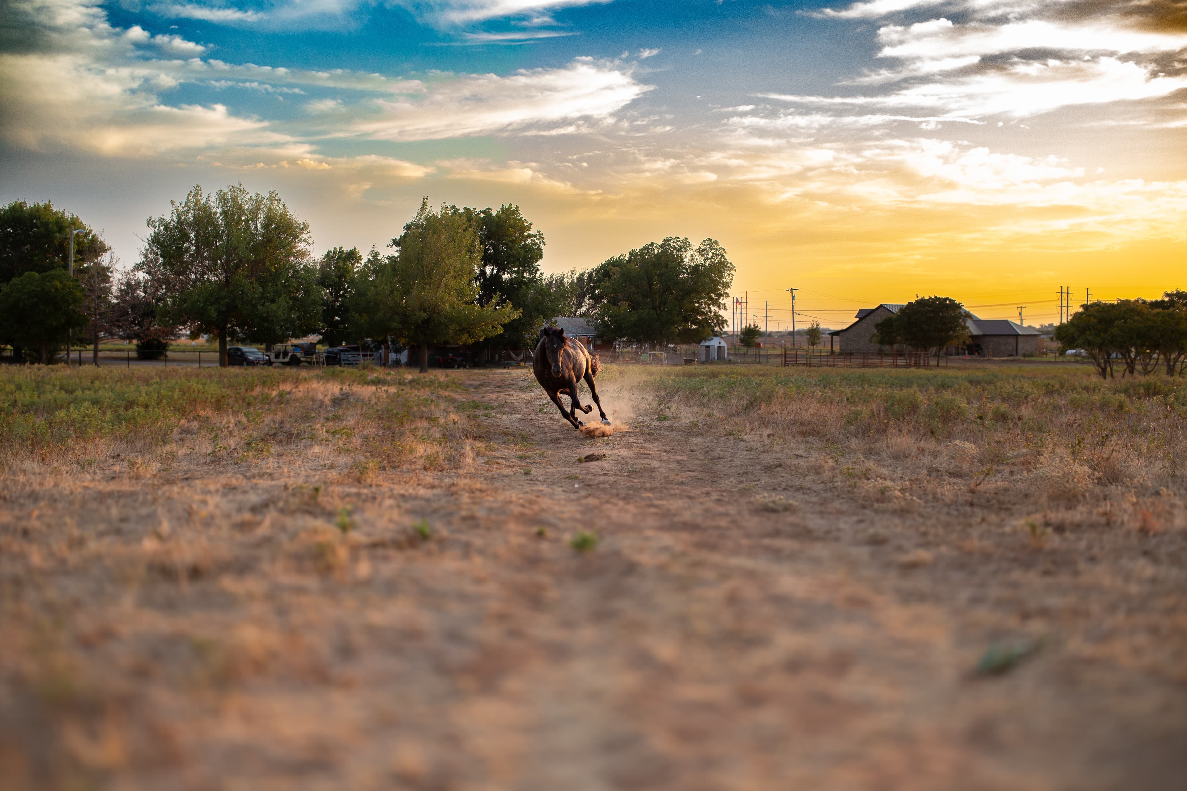Horse galloping at sunset near Wichita Falls, Texas, photographed by Faith Lauren